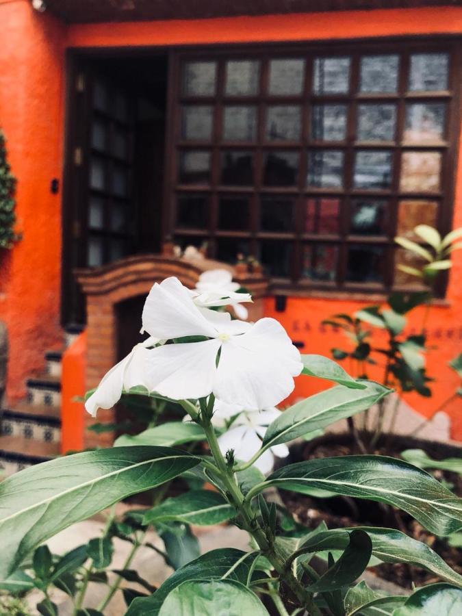 Casa Azul Inn